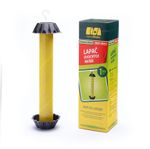 Rovarcsapda Fly Stick, gyümölcslegyekhez