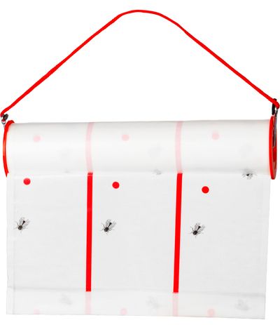 Trap Strend Pro, for fruit flies and flies