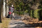 SET Blower Worcraft CLBV-S40Li ShareSYS, leaf vacuum, 230 km/h, 2x20V, 45 lit., 2x battery CLB-20V-4