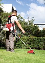 Brush cutter Worcraft GT65-430, 2.2 kW, with accessories