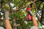 Shears Worcraft CSC-S20LiBP ShareSYS, 20V Li-Ion, garden, cordless, for branches, cutting capacity 3