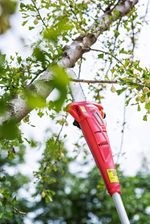 Saw Worcraft CPS-S20Li ShareSYS, 20V Li-Ion, pruning, 8" OREGON bar, telescopic 188-270 cm, SET 1x 2