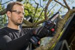 SET Saw Worcraft Home CHS-S20LiBCM ShareSYS, 20V Li-ion, 4" chain, BRUSHLESS, mini chainsaw + EXTRA