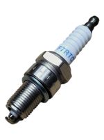 Spark plug for Lawn Mower Strend Pro QL51PD-196, (engine part 4)