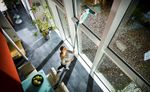 Window Cleaner LEIFHEIT 51003, with 43 cm pole, mop and window vacuum, cordless