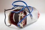 Stator AG14-150S alkatrész 29
