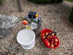Crusher Strend Pro EFC-2, for fruit, apples, 550 W, 1 L, 200 kg/h, 43x22x33 cm