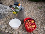 Crusher Strend Pro EFC-2, for fruit, apples, 550 W, 1 L, 200 kg/h, 43x22x33 cm