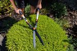 Shears Strend Pro KT3833A, garden, for hedges, Aluminum, telescopic