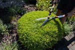 Shears Strend Pro KT3833A, garden, for hedges, Aluminum, telescopic
