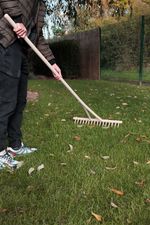 Rake, wooden, 16-tine, for hay, for leaves, wooden handle