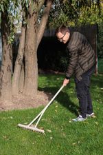 Rake, wooden, 14-tine, for hay, for leaves, wooden handle
