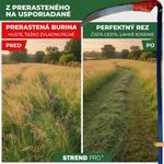 Kosa EURO 60 cm, kovaná, na trávu