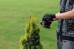 Shears Strend Pro Premium 3103A-2, garden, for branches