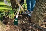 Hoe G284C-WH, flat, narrow, wooden handle