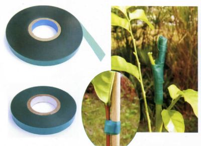 Páska GreenGarden MULTI 35, viazacia na rastliny, 11 mm, L-35 m
