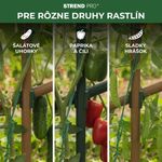 Spojka Strend Pro, plast, konektor na záhradné oporné tyče, 20 mm, bal. 10 ks