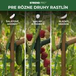 Csatlakozó Strend Pro, műanyag, csatlakozó kerti támasztórudakhoz, 16 mm, 10 db-os csomag