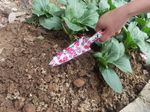 Trowel Strend Pro, garden, planting, floral print, 30x6 cm, Ladies line