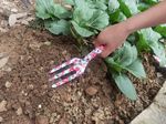 Cultivator Strend Pro, gardening, hand, flower print, metal, Ladies line