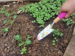 Tool Set Strend Pro, gardening, 3-piece, flower print, Ladies line