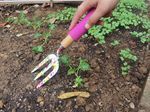 Tool Set Strend Pro, gardening, 3-piece, flower print, Ladies line