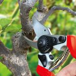 Pruning Shears AQUACRAFT® 330520, garden, for branches, forged, with belt sheath
