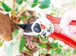 Shears AQUACRAFT® 340270, garden, for branches, forged, with belt sheath