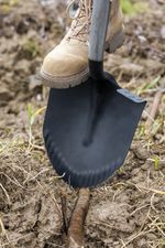 Spade Strend Pro Premium RedShark, pointed, with 1150 mm wooden D-handle, 10-year warranty