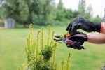 Shears Strend Pro PS814, Soft, 215 mm, Aluminum, garden