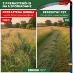 Kosa EURO 70 cm, kovaná + kovové kosisko, na trávu
