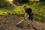 Hoe Gardex, pointed, 390 g, forged, wooden handle