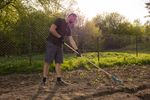 Lawn Rake Strend Pro R151.WH, 11/21-tine, aerating for weeds, scarifying, wooden handle