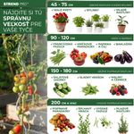 Stake Garden SB 11/1200 mm, steel/plastic, green, for plant and tomato support