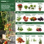 Karó Garden SB 8/600 mm, acél/műanyag, zöld, növény- és paradicsomtámasz