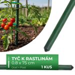 Support Rod Garden SB 8/750 mm, steel/plastic, green, for plants and tomatoes