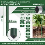 Support Rod Garden SB 8/750 mm, steel/plastic, green, for plants and tomatoes