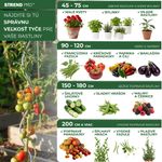 Rod GS2 1500/6 mm, spiral, wire, green, plant and tomato support