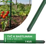 Support Rod Garden SB 8/1200 mm, steel/plastic, green, for plants and tomatoes