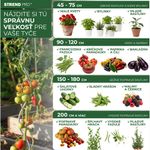 Stake Garden SB 11/1800 mm, steel/plastic, green, for plant and tomato support