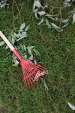 Leaf Rake Strend Pro Herrison 813-16, 11-tine, 900 mm wooden handle, mini