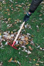 Rake Strend Pro Herrison 813-04, garden, metal, 8-tine, wooden handle 900 mm, mini