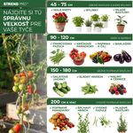 Support Rod Garden SB 20/1200 mm, steel/plastic, green, for plants and tomatoes