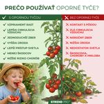Tyč Garden TY 11/900 mm, oceľ/plast, hnedá, oporná k rastlinám a paradajkám