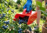 Fruit Picker Strend Pro, 22x7.5 cm