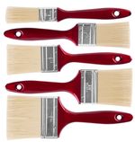 Ecsetkészlet Strend Pro Brosse PS450, 5 részes