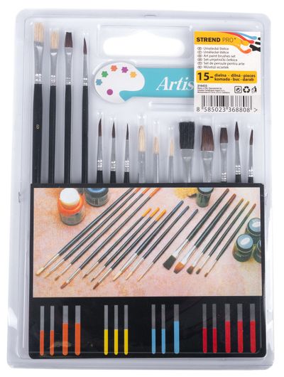 Paint brush set 15 pcs