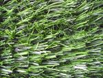 Fence Manzo 2,0x3,0 m,weed,light green