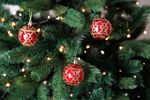Decorations Xmas N1A 6003 WS1320, 3 pcs, W03/Y01A