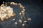String lights MagicHome Twisted Stars 180S, 180x micro star warm white LED, steady light, 230V, 50 H